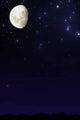 Moon Night Sky Wall Decal