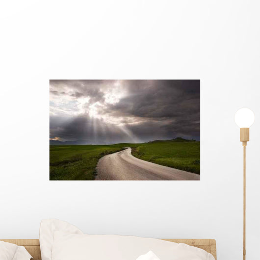 Road Crosses Prairie Covered Wall Decal