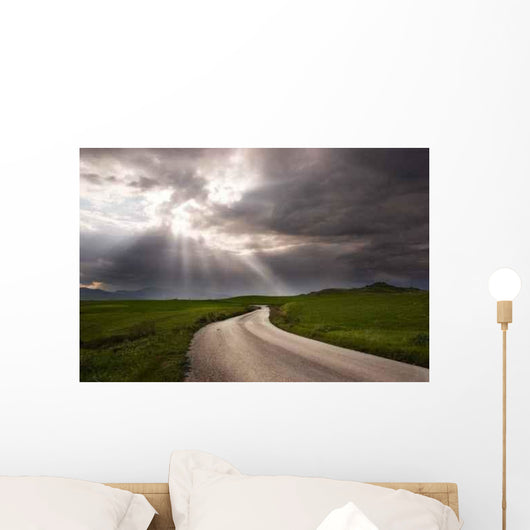 Road Crosses Prairie Covered Wall Decal