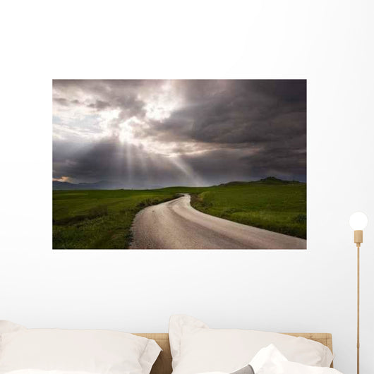 Road Crosses Prairie Covered Wall Decal
