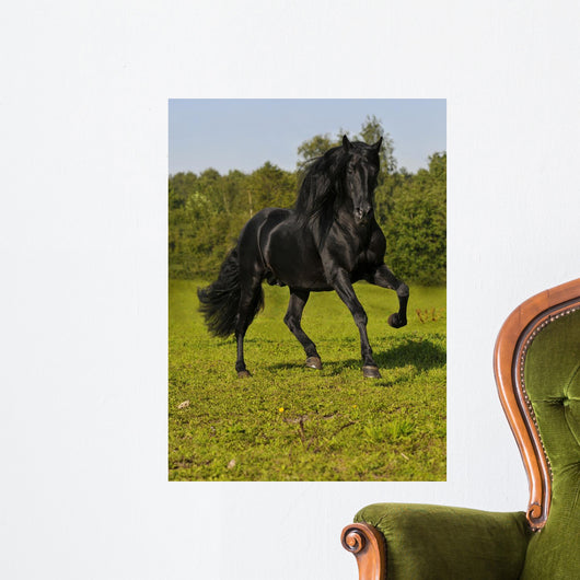 Free Black Horse Runs Wall Decal