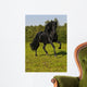 Free Black Horse Runs Wall Decal