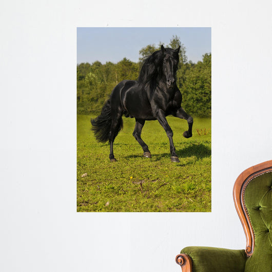 Free Black Horse Runs Wall Decal