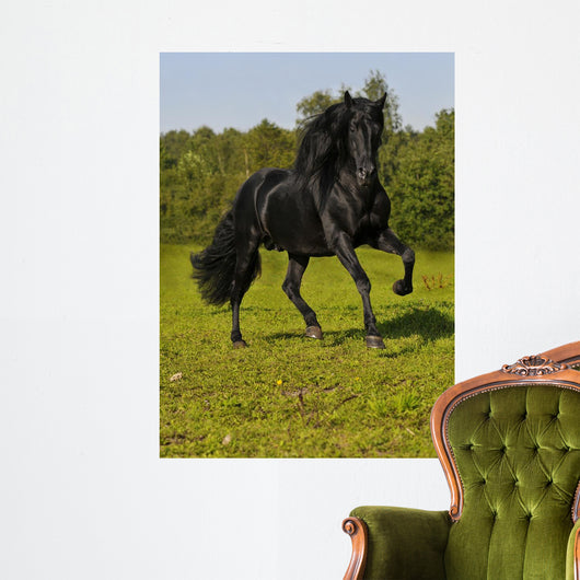 Free Black Horse Runs Wall Decal