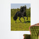 Free Black Horse Runs Wall Decal
