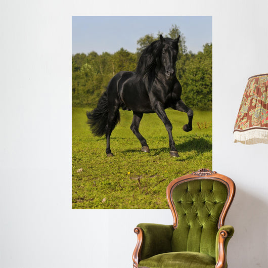 Free Black Horse Runs Wall Decal