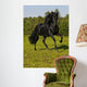 Free Black Horse Runs Wall Decal
