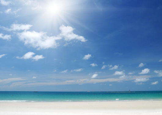 Beach Scene Wall Decal