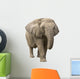 Elephant Wall Decal Design 1