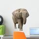 Elephant Wall Decal Design 1