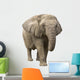 Elephant Wall Decal Design 1