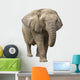 Elephant Wall Decal Design 1
