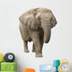 Elephant Wall Decal Design 1