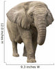 Elephant Wall Decal Design 1