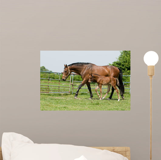 Mare and Foal Field Wall Decal