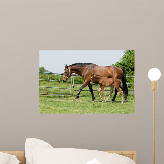 Mare and Foal Field Wall Decal
