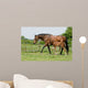 Mare and Foal Field Wall Decal