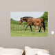 Mare and Foal Field Wall Decal