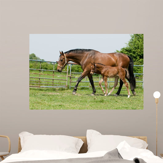 Mare and Foal Field Wall Decal