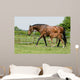 Mare and Foal Field Wall Decal