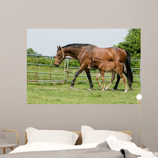 Mare and Foal Field Wall Decal