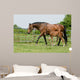 Mare and Foal Field Wall Decal
