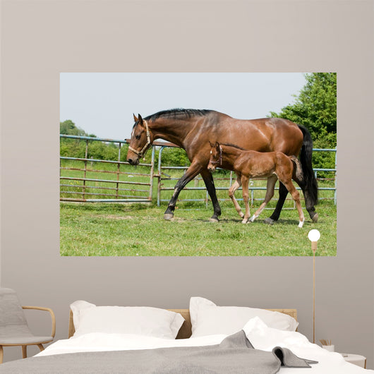 Mare and Foal Field Wall Decal