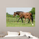 Mare and Foal Field Wall Decal