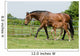 Mare and Foal Field Wall Decal