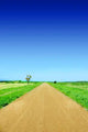 Straight Road and Blue Wall Decal