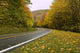 Beautiful Curved Autumn Road Wall Decal