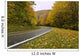 Beautiful Curved Autumn Road Wall Decal