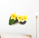 three yellow frangipani flowers on rollers Wall Decal
