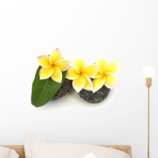 three yellow frangipani flowers on rollers Wall Decal