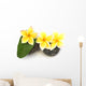 three yellow frangipani flowers on rollers Wall Decal