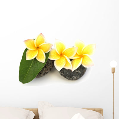 Three Yellow Frangipani Flowers Wall Decal shown on a wall