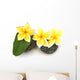 three yellow frangipani flowers on rollers Wall Decal