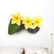 three yellow frangipani flowers on rollers Wall Decal