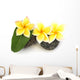 three yellow frangipani flowers on rollers Wall Decal