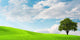 Clear Landscape Wall Decal