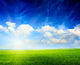 Field Wall Decal Design 2
