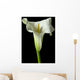 Calla Lily 17 Wall Decal