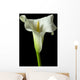 Calla Lily 17 Wall Decal