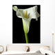 Calla Lily 17 Wall Decal