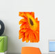 Orange Gerber Wall Decal