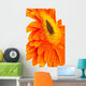 Orange Gerber Wall Decal