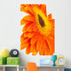 Orange Gerber Wall Decal