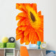 Orange Gerber Wall Decal