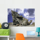 Natural Sculpture Remarkable Rocks Wall Decal