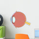 Eye Anatomy Wall Decal
